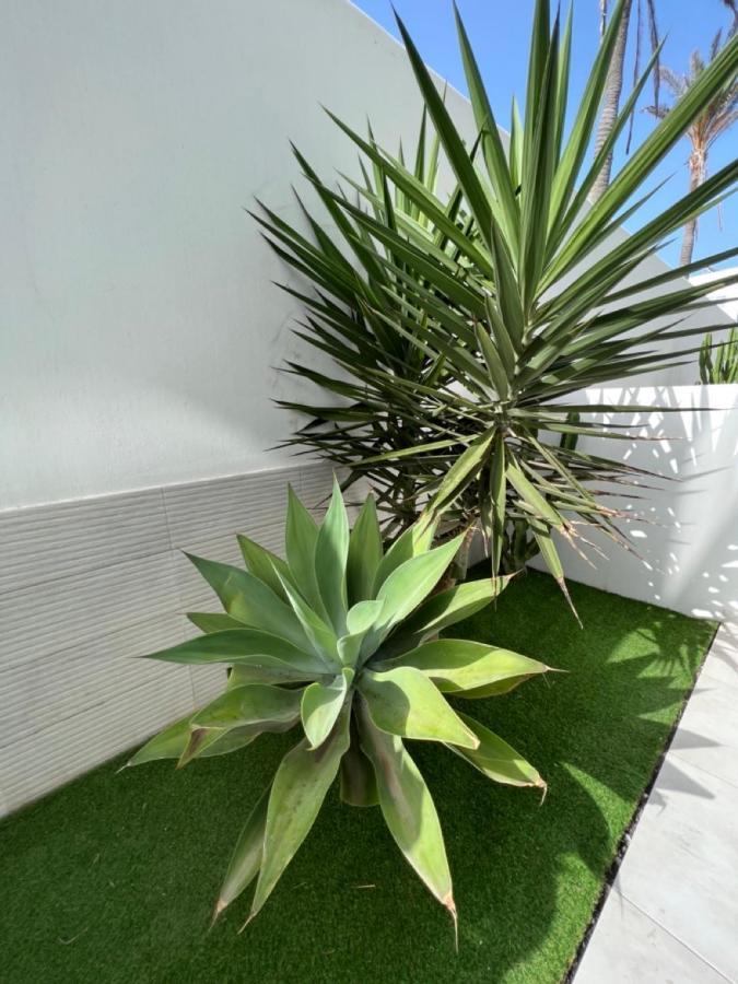Corralejo Bristol Terrace Apartment Con Giardino Privato Esterno エクステリア 写真